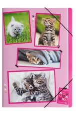 Gummizugmappe xoxo Cats - A4, 3 Einschlagklappen, PP