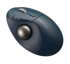 Trackball ProFit Ergo TB550, schwarz