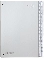 Pultordner Color-Einband - Tabe 1 - 31, 32 Fächer, silber