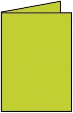Coloretti Doppelkarte - B6 hoch, 5 Stück, hellgrün