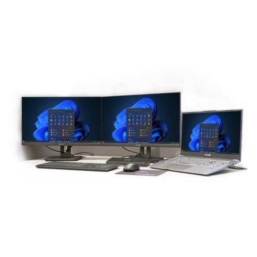 TERRA LCD/LED 2448W PV V4 IPS black HDMI/DP/USB-C