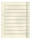 Trennblätter - A4 Überbreite, chamois, 10 Stück, verstärkt