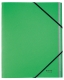 3915 Ordnungsmappe Recycle - A4, 12 Fächer, Karton (RC), klimaneutral, grün