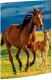 Zeichenmappe Free Horses - A3, 3 Klappen mit Gummizug, Karton