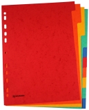Register - blanko, Karton, A4, 10 Blatt, 5-farbig