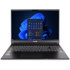 TERRA MOBILE GAMER ELITE 3A R7-Ai350 W11P