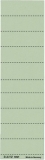1901 Blanko-Schildchen 1901, Karton, 100 Stück, grün