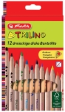 Farbstifte Trilino - 12er Pack sortiert, dreikant