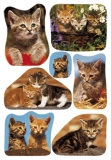3527 Sticker DECOR Katzenfotos