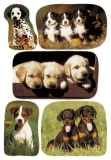 3528 Sticker DECOR Hundewelpenfotos