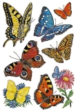 3801 Sticker DECOR Schmetterlinge