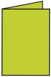 Coloretti Doppelkarte - A6 hoch, 5 Stück, hellgrün